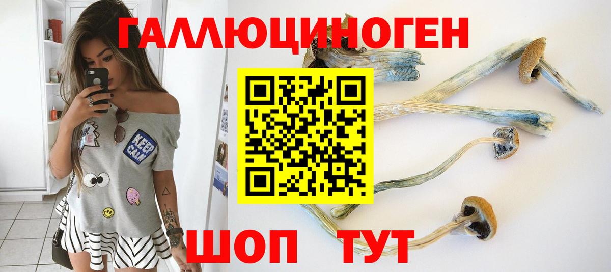 Орёл  Псилоцибиновые грибы мухоморы  Псилоцибиновые грибы мухоморы  Вход с VPN 